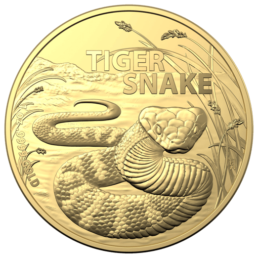 2024 australia’s most dangerous – tiger snake 1oz. 9999 gold bullion coin