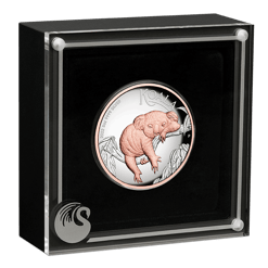 2022 australian koala 5oz. 9999 silver proof high relief gilded coin